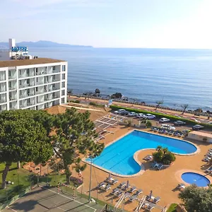 book here